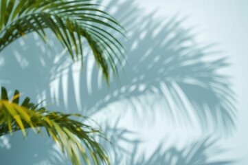Soft silhouette of palm fronds cast on a pastel blue surface. Simple abstract backdrop for showcasing items. Warm seasons vibe.