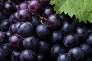 Photo of a bunch of dark purple grapes with green leaves, looking fresh and juicy.