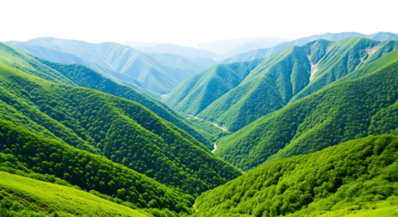 Majestic green mountain valley with steep slopes covered in lush forest under a dramatic black sky