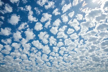 Fototapeta premium Stunning Cloud Formation Against a Clear Blue Sky