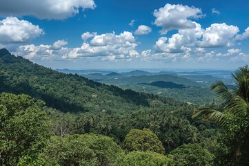 Obraz premium Scenic woodland landscapes