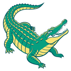 Obraz premium Green alligator with yellow belly