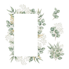 Eucalyptus and babys breath floral frame isolated on transparent background