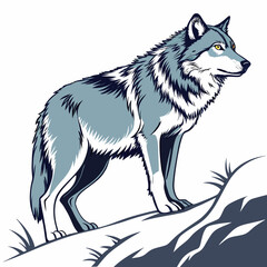 Fototapeta premium A gray wolf standing on a grassy hill, looking to the right