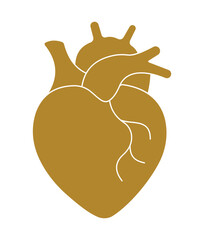 Elegant Anatomical Human Heart Silhouette for Cardiology and Medical Logos