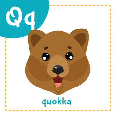 Cartoon English alphabet for children with cute animals. Letter Q with quokka.