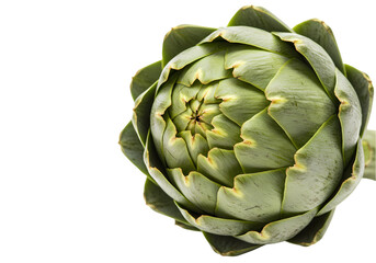 Fototapeta premium Close-Up of a Single Artichoke on White Background isolated on transparent background