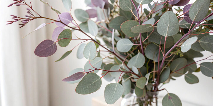 Silver dollar eucalyptus branches featuring round, silvery green leaves gently swaying in the breeze, evoking a serene and peaceful atmosphere characteristic of autumn