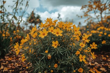 Vibrant yellow blossoms flourish joyfully in the fresh fall breeze.