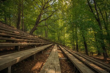 Obraz premium Rustic wooden bleachers nestled among lush greenery