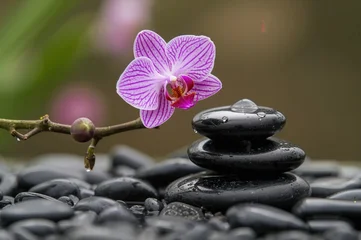 Fototapete Toilette Elegant spa design featuring a blossoming branch of purple orchid (phalaenopsis) resting on balanced zen stones with water droplets  © AkuAku