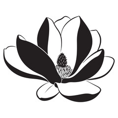 Elegant Black and White Magnolia Flower Illustration