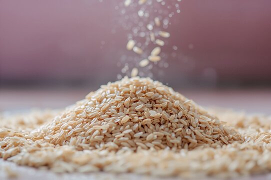 Indian fasting dish recipe prepared with Barnyard millet grains or Samwa