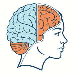 Detailed human brain illustration with distinct left and right hemispheres