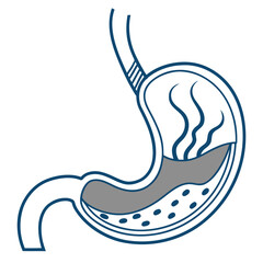Stylized human stomach organ icon for medical and health concepts