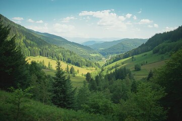 Fototapeta premium Attractive minimalist illustration of a natural scenery featuring a valley and pine woods for eco-tourism