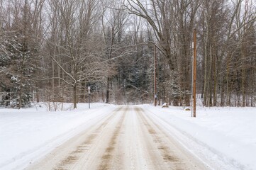 A wintery backyard scene overlooking a dual carriageway with an extensive forest stretching into the distance at the edge of a small town, featuring southeastern trees
