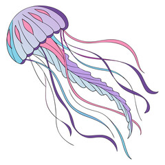 Colorful jellyfish illustration