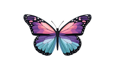 Obraz premium Colorful butterfly design