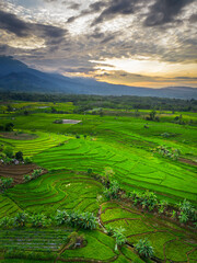 Fototapeta premium Beautiful morning view indonesia panorama landscape paddy fields with beauty color and sky natural light