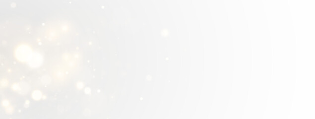 Abstract Sparkling Light Vector