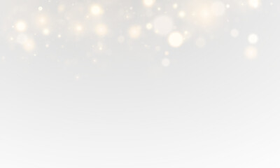 Abstract Sparkling Light Vector