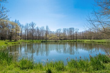 Fototapeta premium Expansive water body encircled by lush greenery. Outdoor camping scene. Seasonal scenery with clear skies.