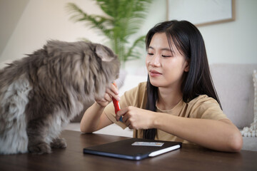 Young Asian woman feeding her fluffy cat with a treat at home.