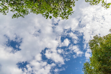 Natural background materials of blue sky and white clouds