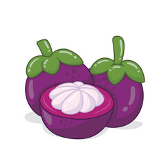 Fresh Mangosteen Fruits Illustration