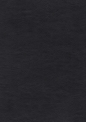 Dark, black, leather reptile-looking texture for modeling or adding grunge to a scene, background, room for text