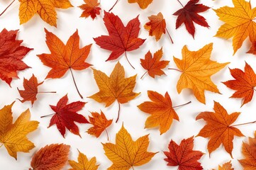 Fototapeta premium Collection of various colorful fallen leaves separated on a white backdrop. Fall theme illustration