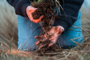 farmer collecting soil samples in a test tube in a field. Agronomist checking soil carbon and plant health on a farm