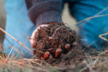 regenerative organic farmer, taking soil samples and looking at plant growth in a farm. practicing sustainable agriculture