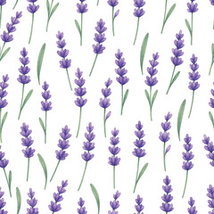 Naklejka premium Adobe Illustrator Artwork