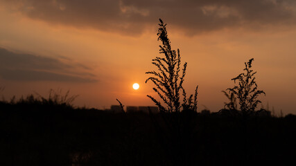 The setting sun, its afterglow, and the natural scenery