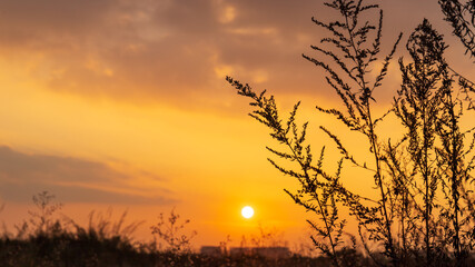 The setting sun, its afterglow, and the natural scenery
