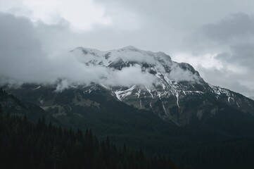 A towering snow-laden peak surrounded by dense, shadowy woodland and misty low clouds in a bleak mountainous landscape.