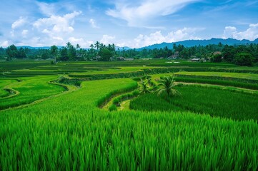 Breathtaking view of vibrant green rice terraces spreading endlessly, offering a perfect natural setting for farming and outdoor adventures