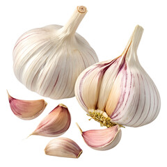 Obraz premium garlic and cloves