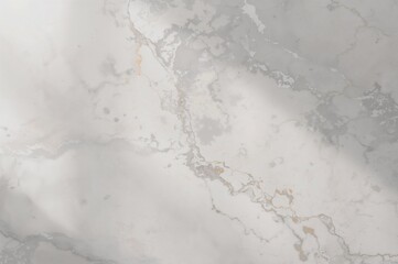 Obraz premium Gentle pale gray marble surface pattern