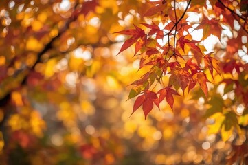 Leaves with bokeh effect and vibrant blurred backdrop