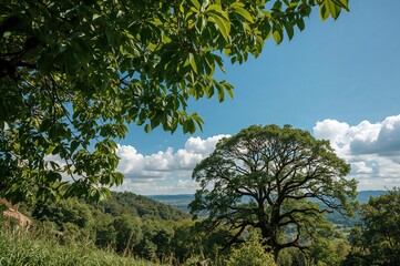 Fototapeta premium Early day landscape featuring lush foliage and clear azure sky