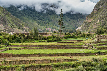 Rustic scenic view with agricultural terraces on the hillside of Ollantaytambo, in the Sacred Valley of the Incas, Peru.