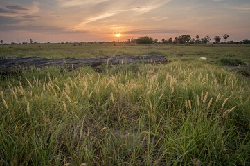 Wildfires raging through the vast grasslands of a large delta region