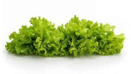 Obraz premium Fresh curly lettuce leaves neatly placed for sandwich preparation on a white background