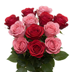 Obraz premium Pink and Red Roses Bouquet Closeup of a dozen roses featuring a mix of deep red and light pink blooms arranged in a lush bouquet isolated on transparent background