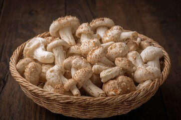 Fototapeta premium Basket filled with Eringi mushrooms on a white background, natural and vintage kitchen setting