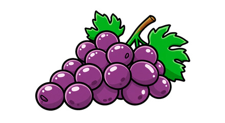 Fresh purple grapes fruit healthy eating delicious sweet juicy vine ripe harvest organic agriculture food on transparent background