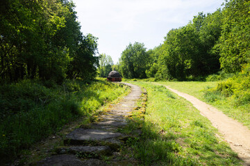 with green vegetation and blue sky…2